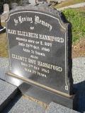 image of grave number 219228